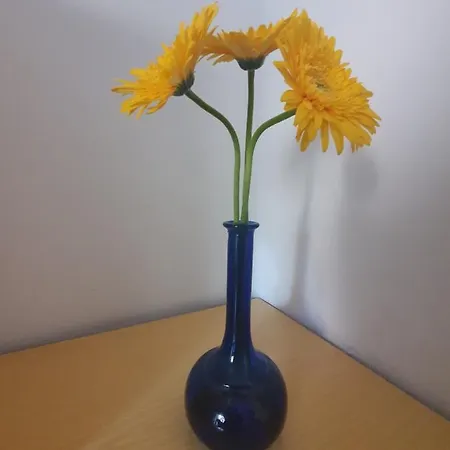 Apartamento In The Blue *