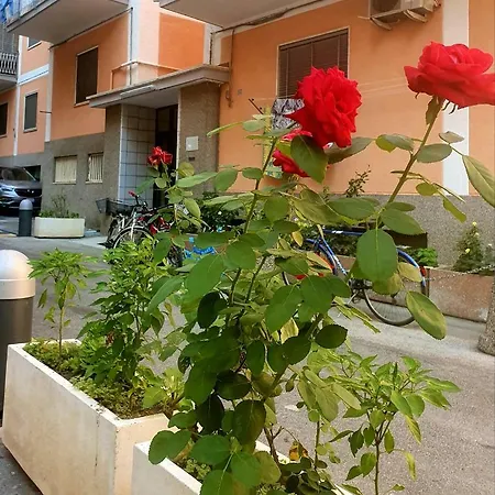 In The Blue Apartamento *